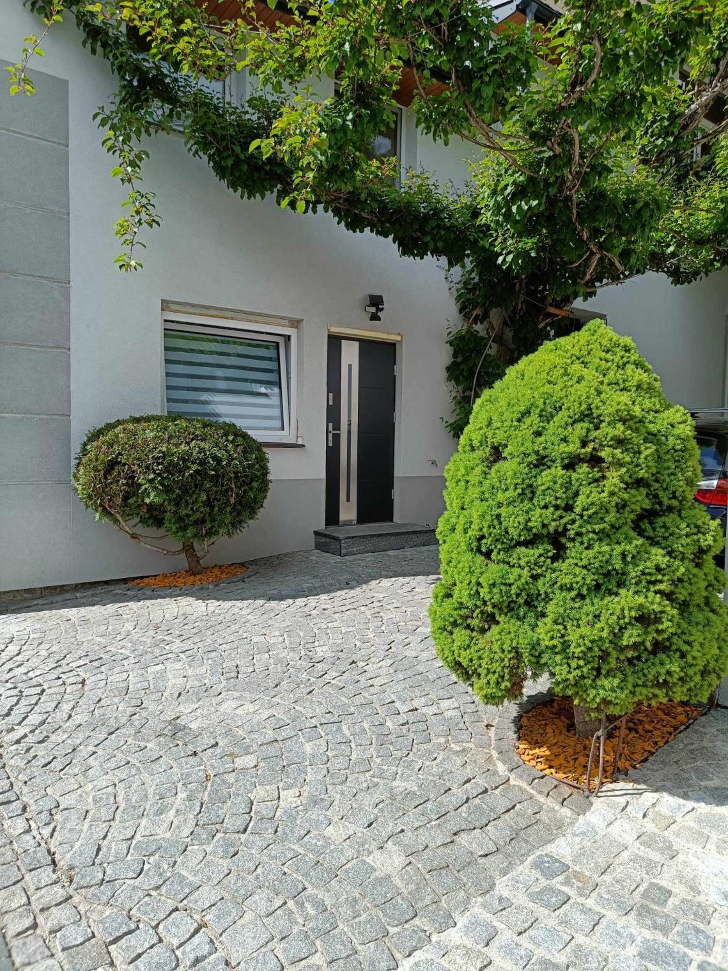 מוז'ינה Kiwi Apartament מראה חיצוני תמונה